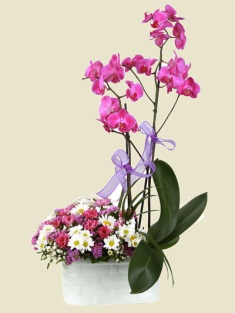 Esenboğa Havalimanı çiçekçi